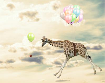 Papier peint  Girafe avec des ballons en plein vol