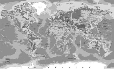 Papier peint  Carte du monde gris