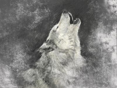 Papier peint  Loup blanc hurlant