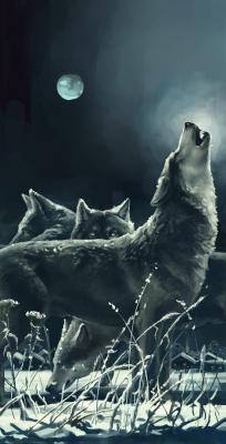 Tableau  Loup hurlant la nuit