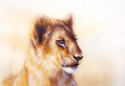 Poster  Silhouette d'une lionne assise