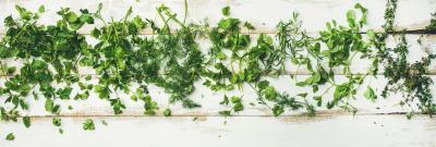 Papier peint  Herbes aromatiques vertes éparpillées