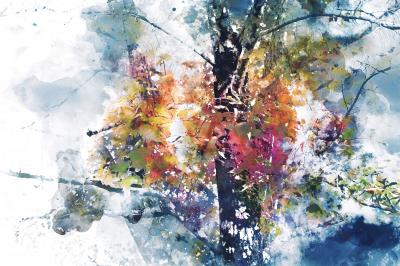 Tableau  Branches d'arbres aux couleurs de l'automne