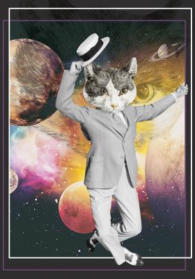 Poster  Chat dans l'univers