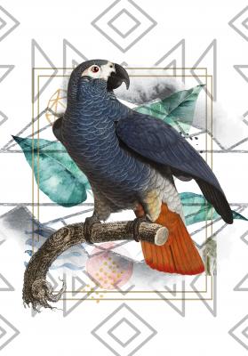 Poster  Perroquet jaco et motif abstrait