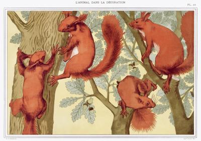 Poster  Écureuils sur un arbre