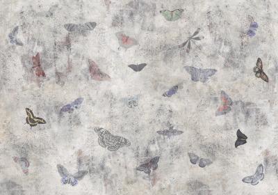 Papier peint  Danse des magnifiques papillons