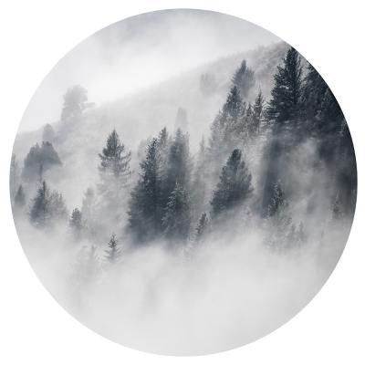 Sticker  Aura brumeuse dans une forêt