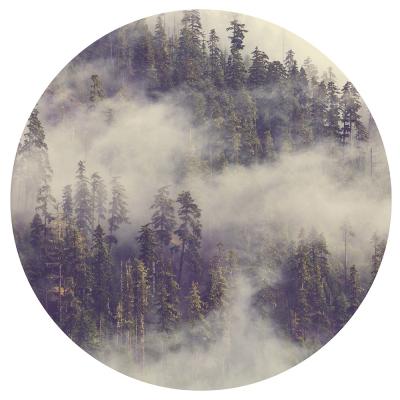 Sticker  Cadre rond d'une haute forêt dans le brouillard