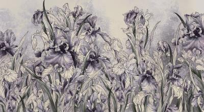 Papier peint  Iris dans des couleurs violettes et grises