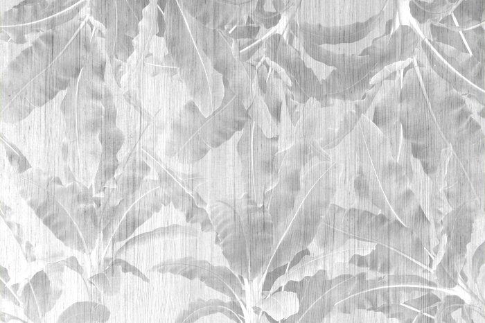 Papier peint  Bananiers tropicaux aux nuances de gris