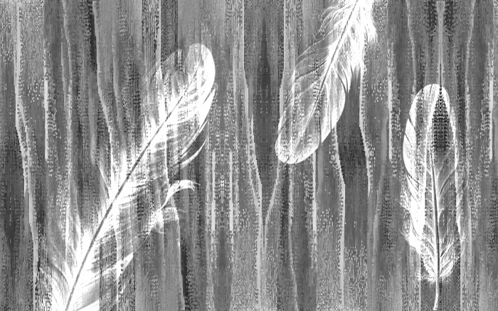 Papier peint  Plumes sur fond texturé gris