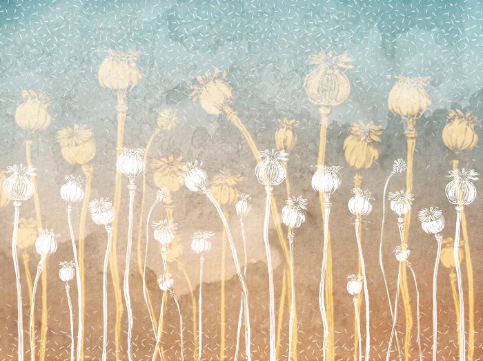 Papier peint  Fleurs sauvages sur un fond ombré en béton