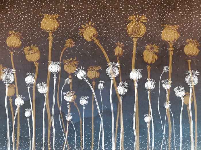 Papier peint  Fleurs sauvages sur un fond de béton foncé