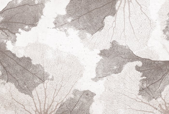 Papier peint  Coraux beiges sur fond texturé