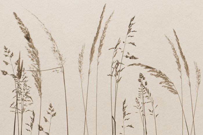 Papier peint  Plantes sauvages sur fond beige