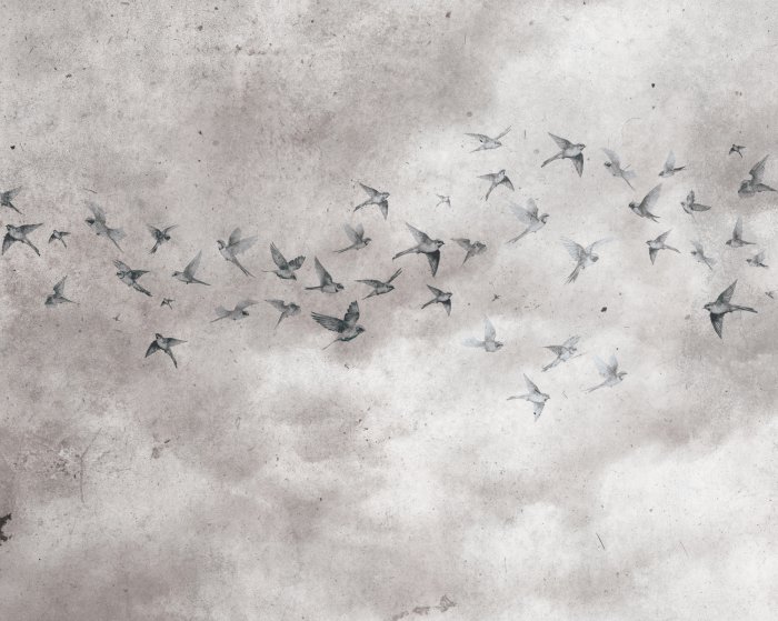 Papier peint  Oiseaux dans le ciel avec une texture de béton