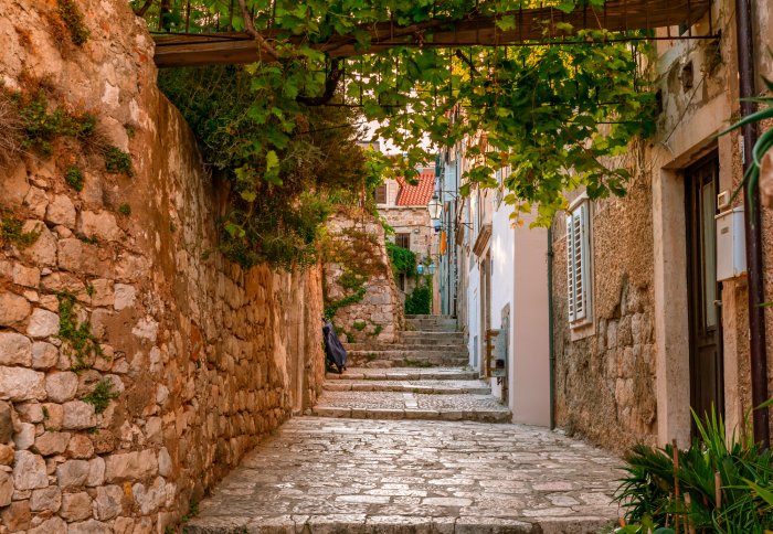 Papier peint  Architecture sur une rue en pierre avec des plantes vertes