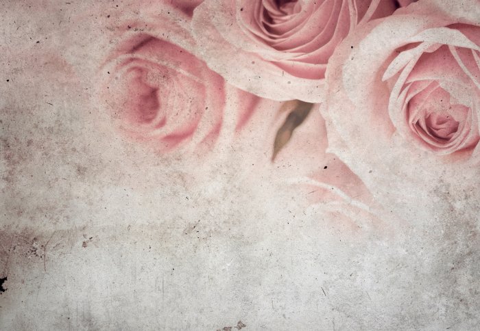 Papier peint  Roses sur fond de béton vintage