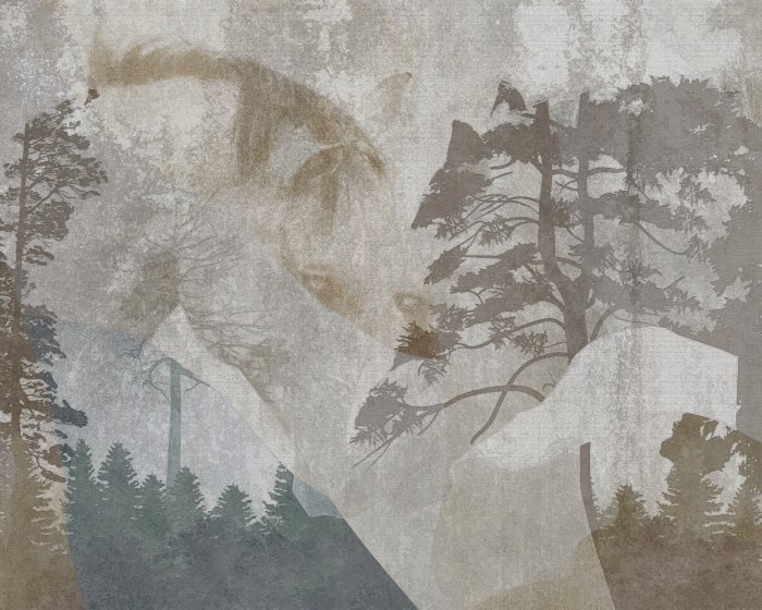 Papier peint  Portrait abstrait d&#39;un cheval dans un paysage forestier