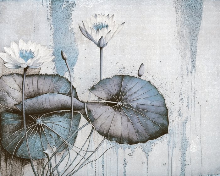 Papier peint  Nénuphars et feuilles sur fond de béton