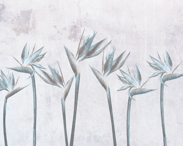 Papier peint  Fleurs de Strelitzia oiseau de paradis sur fond de béton