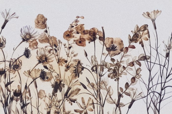 Papier peint  Motif botanique de fleurs sauvages avec une texture délicate