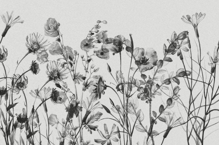 Papier peint  Motif botanique de fleurs sauvages noires et blanches