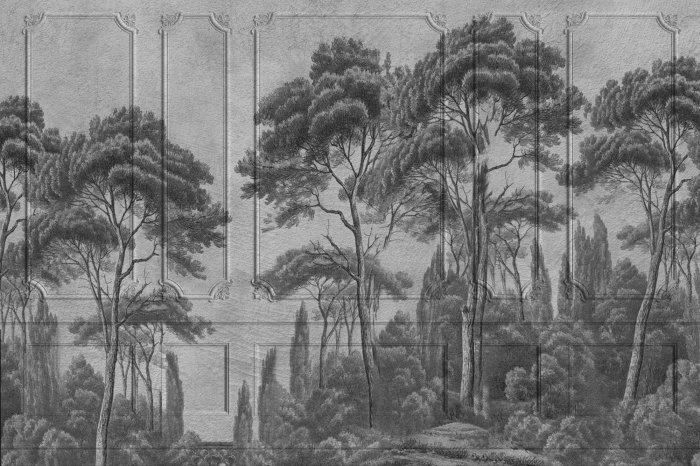 Papier peint  Paysage noir et blanc d&#39;une forêt sur fond de stuc