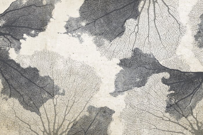 Papier peint  Coraux gris sur fond effet béton