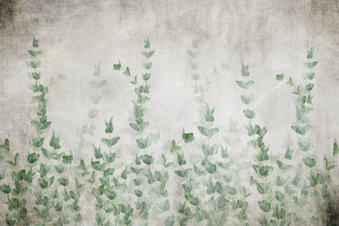 Papier peint  Lierre sur fond de béton