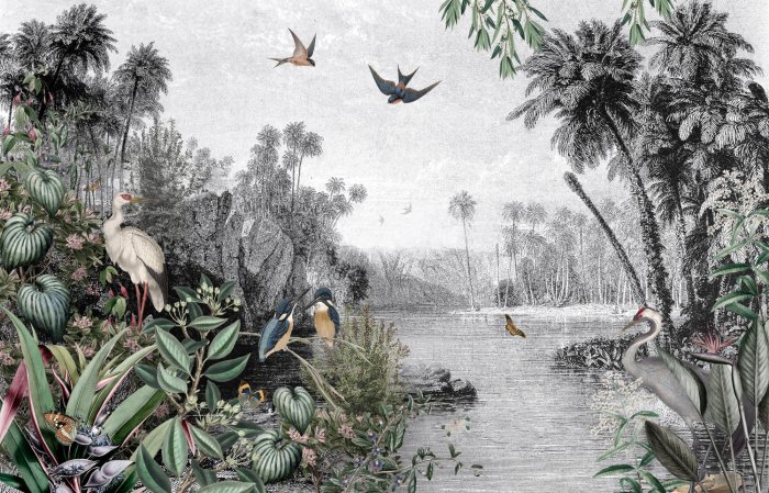 Papier peint  Paysage tropical avec des oiseaux dans la jungle