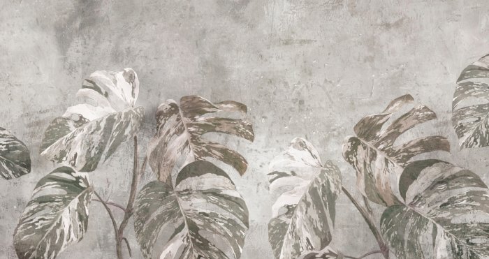 Grandes feuilles de monstera sur béton, motif botanique