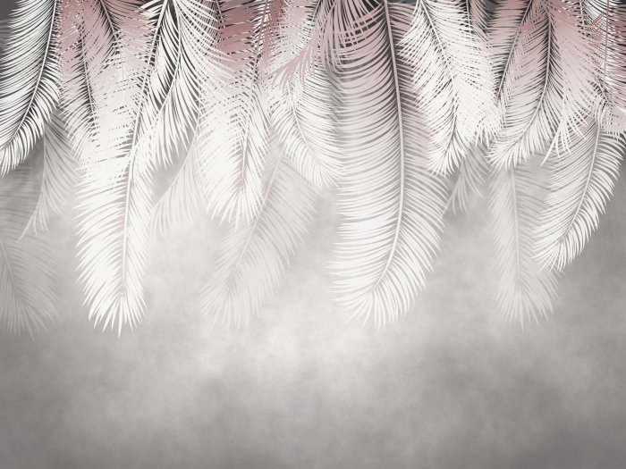Papier peint  Une composition avec des plumes sur un fond gris clair