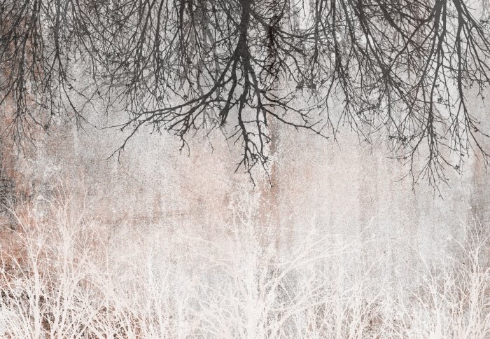 Papier peint  Branches d&#39;arbre noires dans un motif vintage