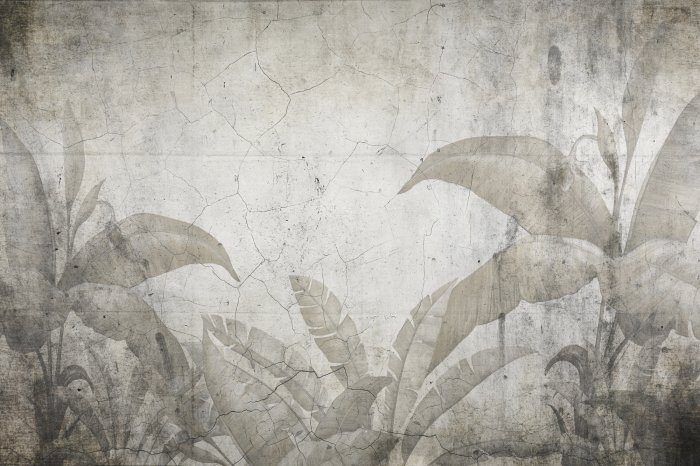 Papier peint  Composition de feuilles tropicales sur un vieux mur fissuré