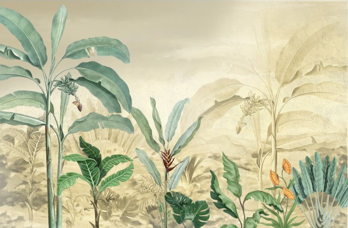 Papier peint  Arbres tropicaux et feuilles dans une forêt brumeuse