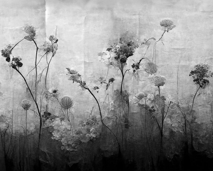 Papier peint  Motif de plantes de fleurs sauvages noir et blanc de style industriel