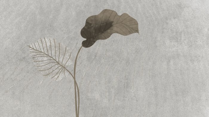 Papier peint  Motif de feuilles minimaliste sur fond de béton gris