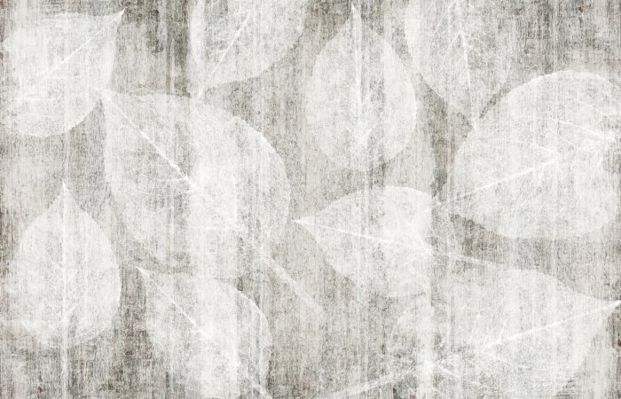 Papier peint  Feuilles blanches sur fond texturé