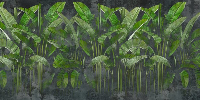 Papier peint  Feuilles de bananier tropicales vertes sur fond texturé