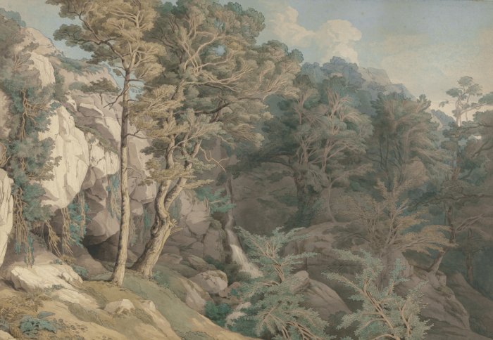 Papier peint  Arbres et plantes parmi les rochers, paysage naturel