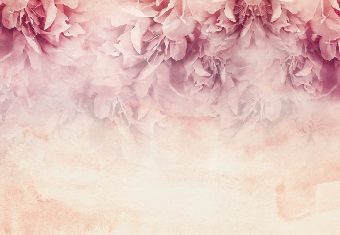 Papier peint  Fleurs de pivoine roses sur un fond texturé avec un effet aquarelle