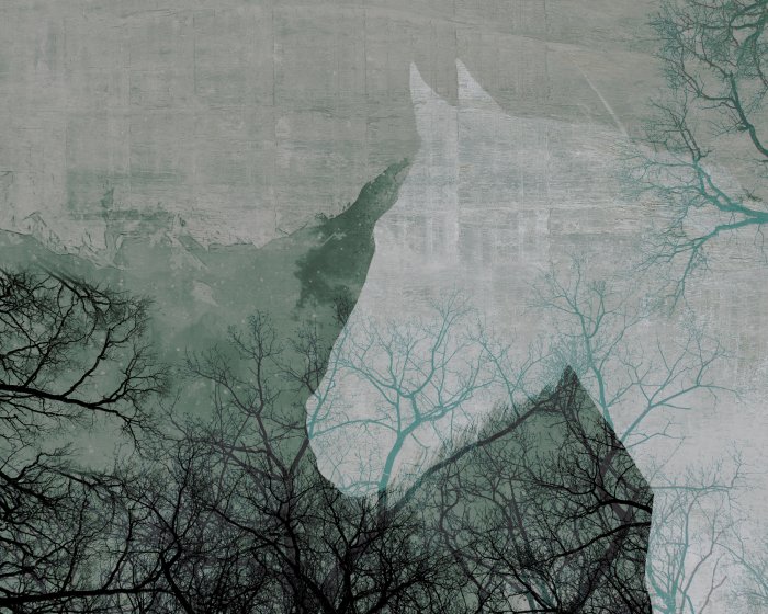 Papier peint  Portrait abstrait d&#39;un cheval parmi les arbres