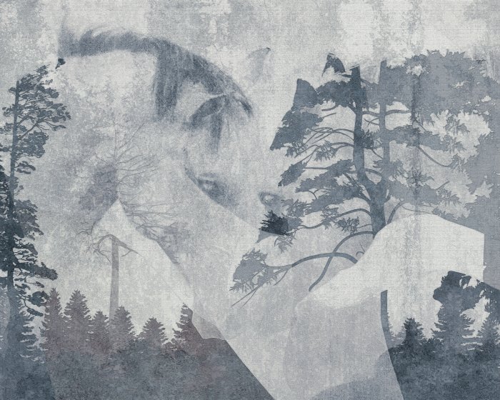 Papier peint  Chevaux dans un paysage forestier, portrait abstrait