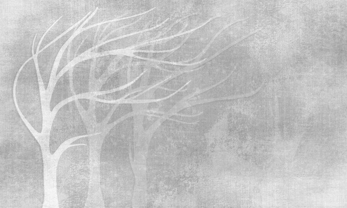 Papier peint  Silhouettes d&#39;arbres sur une texture de béton