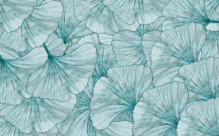 Papier peint  Feuilles de ginkgo bleu