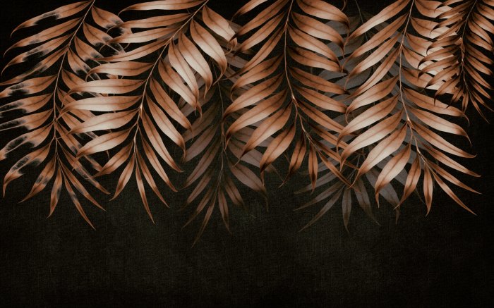 Papier peint  Feuilles d&#39;automne sur fond noir