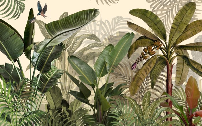 Papier peint  Plantes vertes exotiques dans la jungle