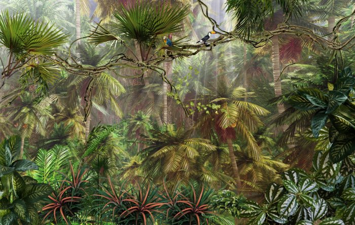 Papier peint  Oiseaux dans la jungle tropicale parmi la végétation dense